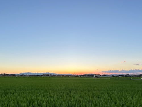 豊かに拡がる穀倉地帯