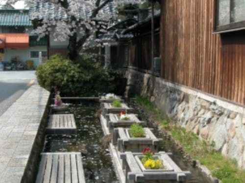 豊かな水量は花壇にも注がれる