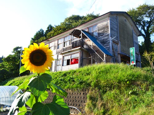 南三陸YES工房(外観)