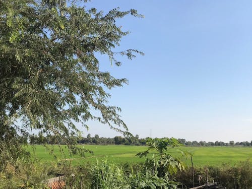 のどかな風景を望みながら、非日常な時間を過ごして