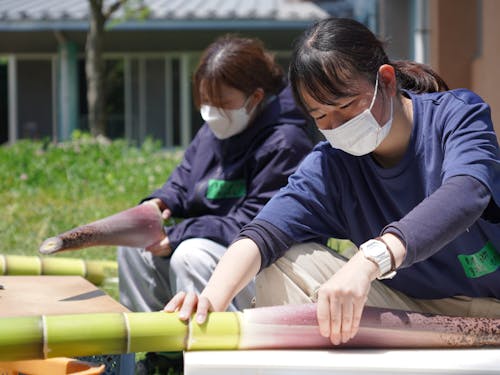 伸びすぎたタケノコの皮を剥いて加工して食べます!
