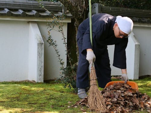掃除。苔の美しさを感じながら、自分の足元を見つめる大切な時間。