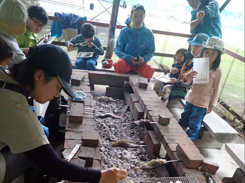 イワナを捌いて塩焼きします