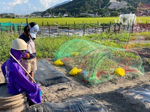 自家菜園にて。北野さんのお子さんが畑仕事を手伝うことも。お手製案山子が日々見守る