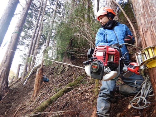伐採資材運搬の様子