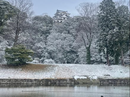 雪景色の彦根城とお堀り