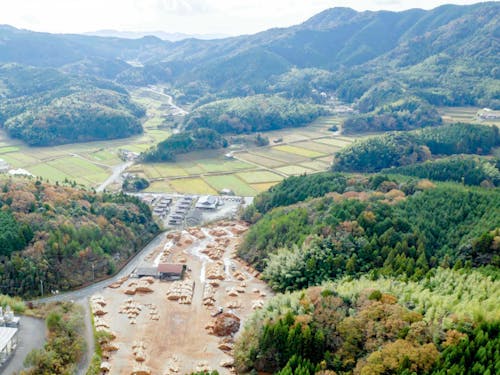 かつては木材の集積地としても栄え、木材業が盛んだった