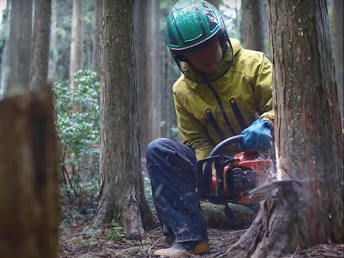 林業は豊かな自然、暮らしと密接している山を守る仕事。