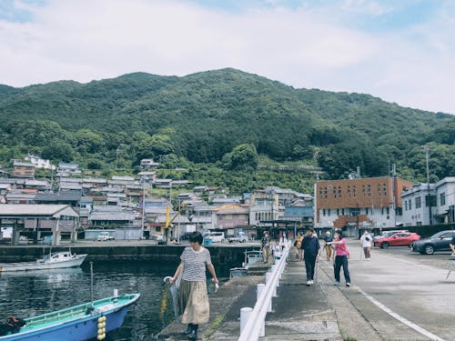 尾鷲の浦々を巡ります