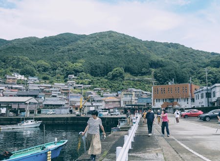 尾鷲の浦々を巡ります