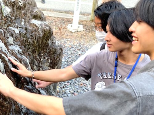 フィールドワークの様子