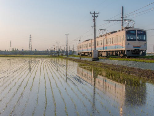 多賀大社前駅は終点駅で、ここを通る時は、速度を落とし田植えしたばかりの水面に反射する水鏡をカメラマンが撮影に来る絶景スポット。小島さんの住む所から見える日常
