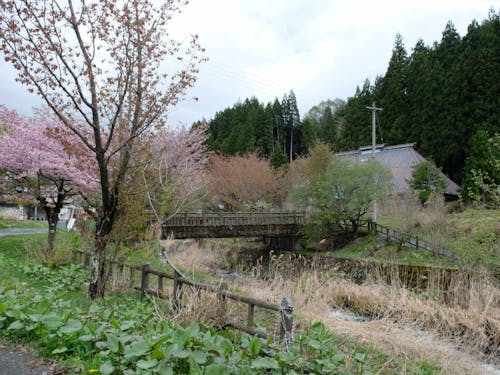 ④久出内川周辺の風景