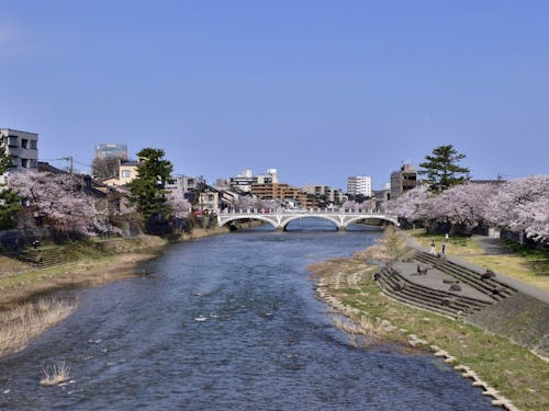 暮らしの中に川の風景がある街 子育てしやすい側面も