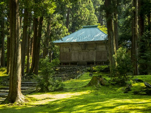 境内は一面に緑の美しい苔で覆われる「平泉寺白山神社」など知られざるスポットがたくさん!