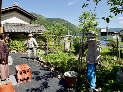 サルたちから野菜を守る手作り案山子はチャーリーとケトルと名付けた