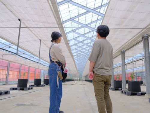 ぶどうのポット栽培用ハウス