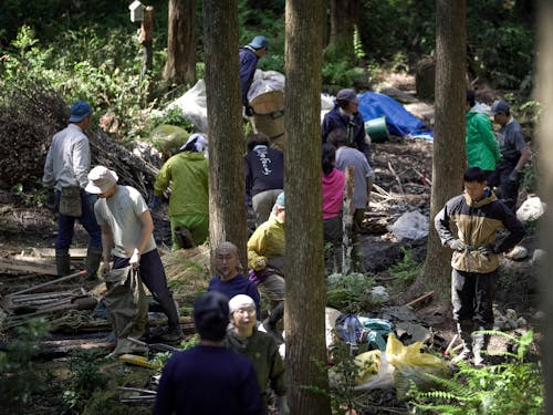 森の再生「みんなの森」