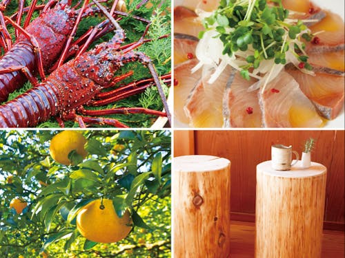 美味しい魚介の数々や甘夏、木工品も特産品です