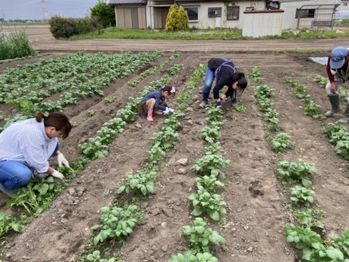 農園での農業体験