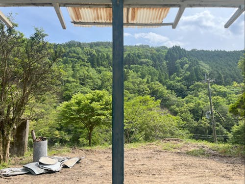 縁側から見たお庭の景色