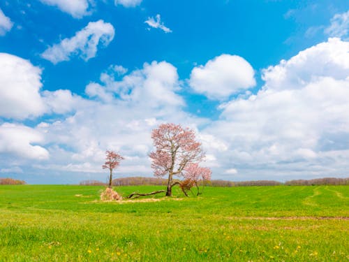 別海町の郊外に住む子ども達は、毎日こんな景色を見ながら通学します。別海町の当たり前は、町外の方からすると当たり前でなく、”ステキ”なものであることを、子ども達にもしっかりと理解していただけたら、故郷をもっと誇りに思ってくれるかもしれませんね。