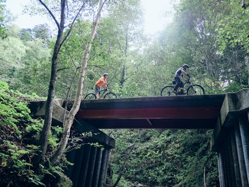 夏は豊かな中川の森の中でMTB体験!
