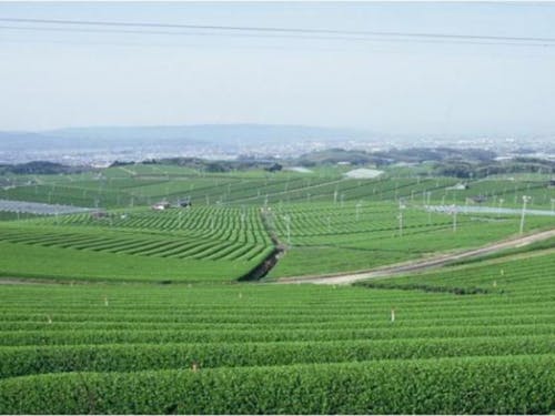 福岡県八女市の山暮らし