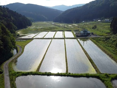水面に映る風景が美しいです