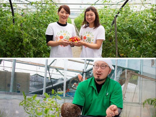 上:ミニトマトの姉妹農家さん/下:微生物を活かした農家さん