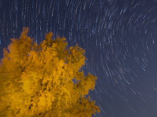 自然豊かな地域で星空もきれいです!(丹生酒殿神社📸かつらぎ町)