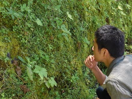 下川町で あなたを知られざるコケの世界へいざないます 移住スカウトサービス Smout スマウト 下川町で あなたを知られざるコケの世界へいざないます 移住スカウトサービス Smout スマウト