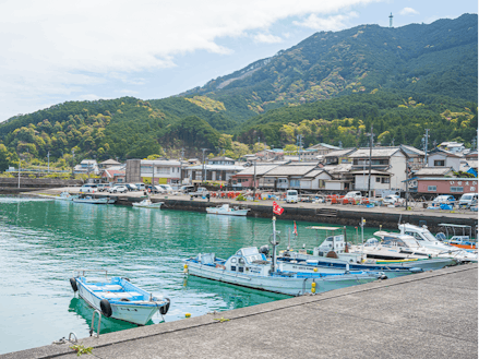 新たな水産資源開拓に取り組む漁師町「大曽根浦」