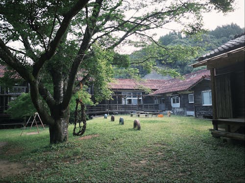 裏にはゆったり過ごせる園庭