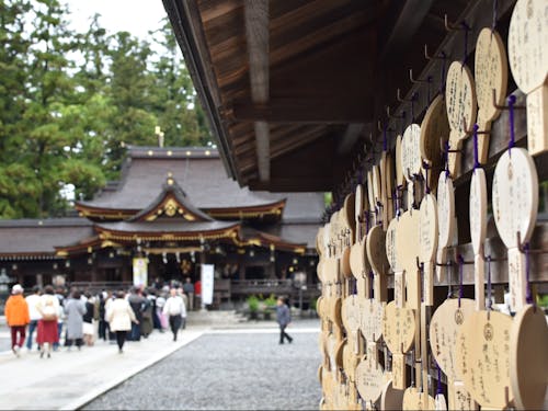 多賀大社の絵馬は、お多賀杓子。オタマジャクシの語源になったとも。