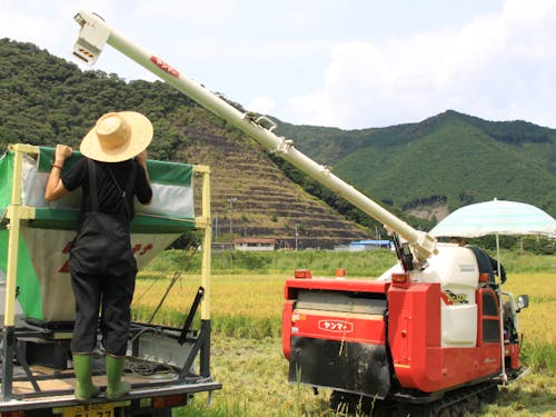 農家さんの稲刈りに密着!!