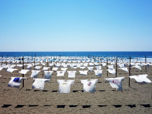 砂浜美術館Tシャツアート展