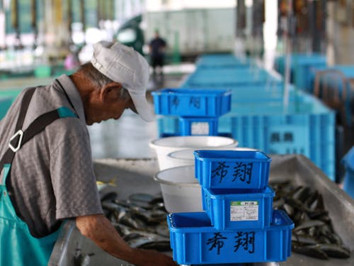 大好きな、漁師町ならではの風景
