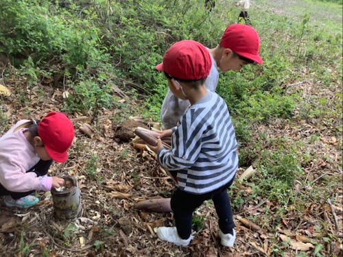 徳地青少年自然の家での体験プログラムのようす