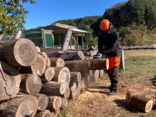 半林半X事業作業中!