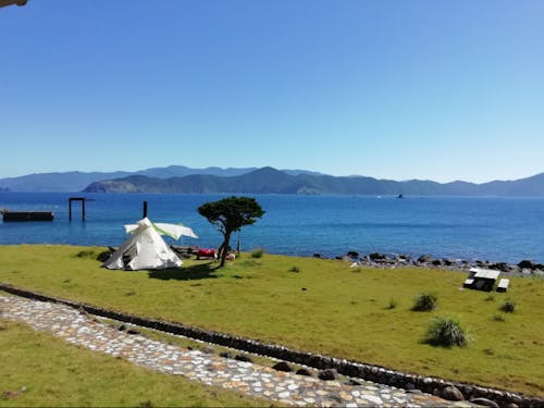 青桐キャンプ場