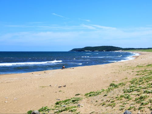 砂浜がいくつもあり海水浴や釣り、サーフィンもできる。