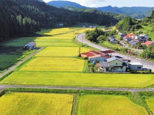 農作業を主とする活動支援団体も。地域の農業と自然を守りながら、人材育成にも力を入れています。農業後継者確保のためのIJUターンに関する活動にも理解があります。