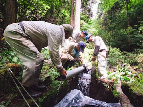 何事も助け合いながら