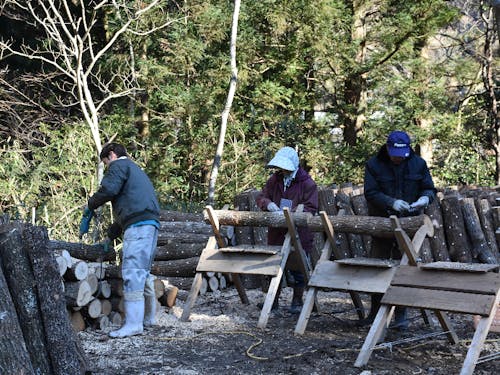 原木しいたけ生産者の方々
