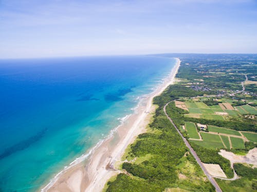 サーファーが集う長浜海岸