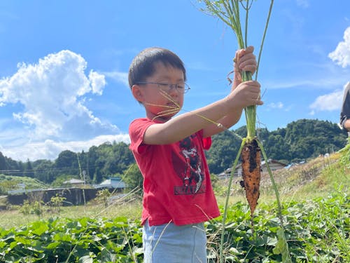 みんなで一緒に収穫体験もしましょう!