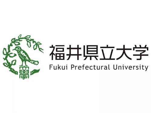 大学での学びと気付き