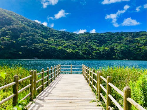 三宅村にはのびのびと暮らせる自然がいっぱいです。Ⓒ三宅島観光協会