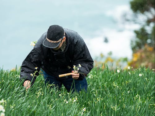 水仙産地での新しい生業づくりに取り組む